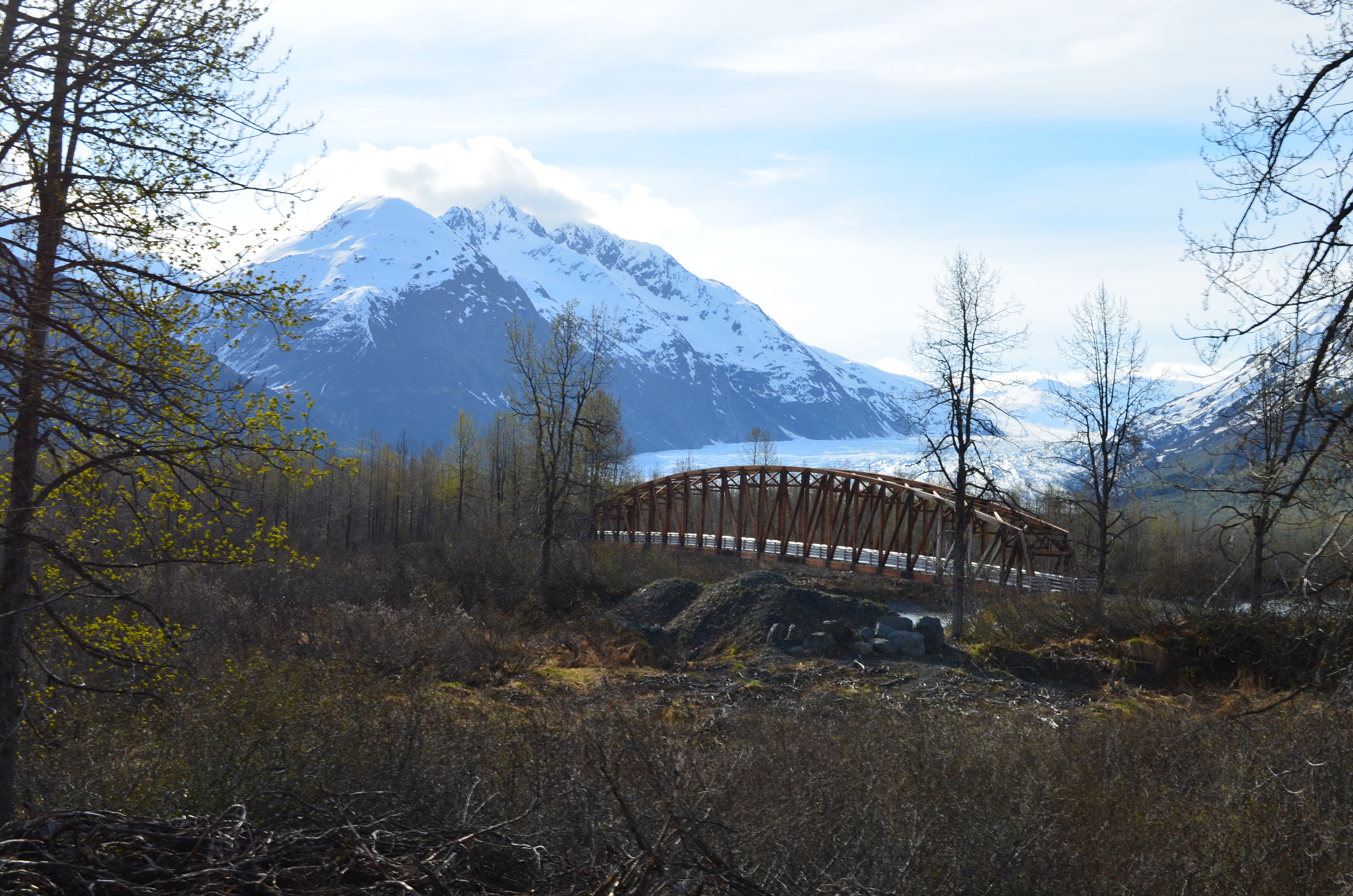 ./2017/08 - Alaska Cruise/05 - Train to Seward/DSC_0524.JPG